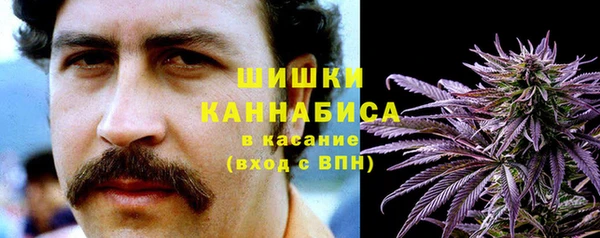 прущие крисы Мегион