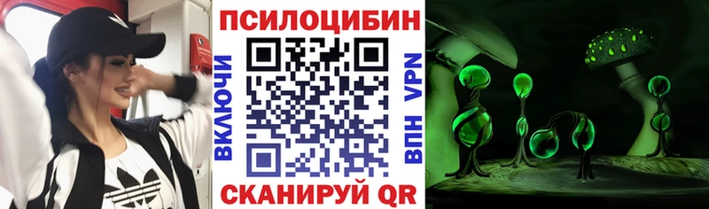 Псилоцибиновые грибы Psilocybine cubensis Мураши